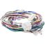 605165-01 Harness-Wiring, 83W82