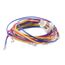102932-08 Comp Harness R/Y/Bl, 99W87