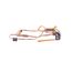 15422000002347, Gas Valve Assembly, Y7222
