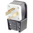 30 Amp, 125/250v, Straight Blade Plug, Industrial Grade (Black), 9432-P