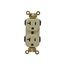 NEMA 5-20R 20 Amps Straight Blade Duplex Receptacle, M5362-I