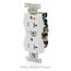 10A Tamper Resistant Isolated Ground Duplex Receptacle, Heavy-Duty Industrial ,125V, Back or Side Wire, NEMA 5-20R, 2-Pole, 3-Wire, Self-Grounding (Orange), T5362-IG