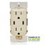Decora Tamper-Resistant Combination Duplex Receptacle w/ 60W Dual Type C/C Power Delivery USB Charger, NEMA 5-15R - Light Almond (15A, 125V)