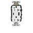 Decora Plus 20A Tamper Resistant USB Duplex Receptacle, 125V, Back and Side Wire, NEMA 5-20R, 2-Pole, 3-Wire, Self-Grounding, (White), T5833-HGW