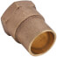 1" x 1" C x IPS Reamed Adapter (Lead Free)