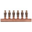 1" Copper Manifold w/ LF Brass 1/2" ProPEX Ball Valve, 6 Outlets (Lead Free Brass)