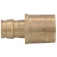 1/2" ProPEX x 3/4" Male Sweat Copper Fitting Adapter (Lead Free Brass)