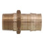 1" ProPEX x 3/4" NPT Male Adapter (Lead Free Brass)