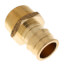 1-1/4" ProPEX x 1-1/4" NPT Male Adapter (Lead Free Brass)