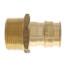1-1/4" ProPEX x 1-1/4" NPT Male Adapter (Lead Free Brass)