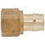 1" ProPEX x 1" NPT Female Adapter (Lead Free Brass)