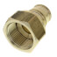 1-1/4" ProPEX x 1-1/4" NPT Female Adapter (Lead Free Brass)