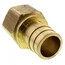 1-1/4" ProPEX x 1-1/4" NPT Brass Female Adapter