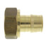 1-1/2" ProPEX x 1-1/2" NPT Female Adapter (Lead Free Brass)