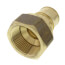 1-1/2" ProPEX x 1-1/2" NPT Female Adapter (Lead Free Brass)