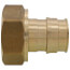2" ProPEX x 2" NPT Female Adapter (Lead Free Brass)