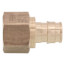 1/2" ProPEX x 1/2" NPT Female Adapter (Lead Free Brass)