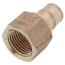 1/2" ProPEX x 1/2" NPT Female Adapter (Lead Free Brass)