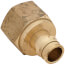3/4" ProPEX x 1" NPT Female Adapter (Lead Free Brass)