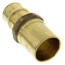 1-1/2" ProPEX x 1-1/2" Copper Press Brass Fitting Adapter (Lead Free)