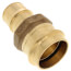 1-1/2" ProPEX x 1-1/2" Copper Press Brass Adapter (Lead Free)