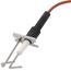 Ignitor Assembly, LH33WZ019