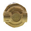 Ecocirc Circulator w/ Multi-Speed, Lead Free Brass (1/2" FPT)