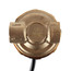 Ecocirc Circulator w/ Adjustable Thermostat & Plug, Lead Free Brass (1/2" FPT)