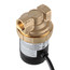 Ecocirc Circulator w/ Adjustable Thermostat & Plug, Lead Free Brass (1/2" FPT)