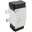125A 2-Pole Thermal Magnetic Main Circuit Breaker (120/240V)
