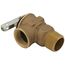 Relief Valve 30 PSI, 100208449