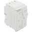 Whole House Surge Protective Device w/ Two 15A 1-Pole Branch Circuit Breakers (120V)