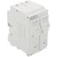 Whole House Surge Protective Device w/ Two 20A 1-Pole Branch Circuit Breakers (120V)
