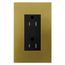 Architectural 15A Tamper-Resist Duplex Receptacle,w/ Wall Plate, Matte Finish, LTR-15-TR-QB, Antique Brass