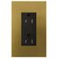 Architectural 20A Tamper-Resist Duplex Receptacle,w/ Wall Plate, Matte Finish, LTR-20-TR-QB, Antique Brass