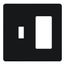 Fassada 2-Gang  1 Traditional/1 Designer Wall Plate (Black)