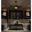 Maestro Fan Control & Light Dimmer for Dimmable LEDs, Incandescent, and Halogen Bulbs (Palladium)