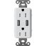 Claro 15A USB Duplex Receptacle (Mist)