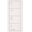 Pico 4-Button Wireless Smart Remote for Programmable Scene Control, Family Room Icon Engraving (Satin Snow), PJ2-4B-TSW-P01
