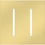 New Architectural 2-Gang Wall Plate, Fits Grafik T Controls, Metal Finish, Bright Brass