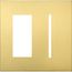 New Architectural 2-Gang Wall Plate, Fits 1 Accessory, 1 Grafik T Controls, Metal Finish, Satin Brass