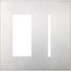 New Architectural 2-Gang Wall Plate, Fits 1 Accessory, 1 Grafik T Controls, Metal Finish, Satin Chrome