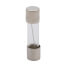 Replacement Fuses (5/pkg) - 2.5 A 250V (ac)