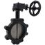 8" 88IPH65 Lug Ductile Iron Butterfly Valve, EPDM, Gear Operator (200 PSI)