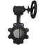 4" 88IPH65 Lug Ductile Iron Butterfly Valve, Gear Operator (200 PSI)