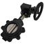 4" 88IPH65 Lug Ductile Iron Butterfly Valve, Gear Operator (200 PSI)