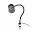 Incandescent Task Light, 24" Reach, Gooseneck Arm, Clamp-On (Black)
