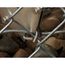 1-3/16" Galvanized Steel Hog Ring Staples for HRP4 Pliers (Box of 500)