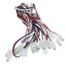 Wiring Harness - Duals, 000009033