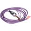 Switch Pressure Hpc Nc 450/600 Ps80, 000015755